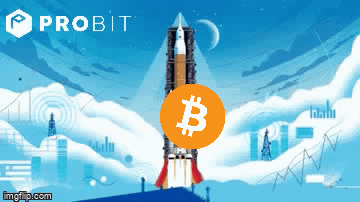 To The Moon Crypto GIF by ProBit Global