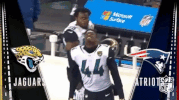 Jacksonville Jaguars Football GIF by NFL
