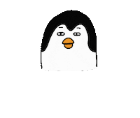 Confused Penguin Sticker