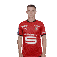 Ligue 1 Football Sticker by Stade Rennais F.C.