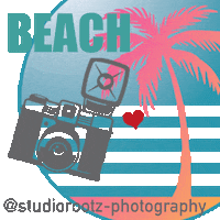 studiorootz-photography curacao fotograafcuracao studiorootz berbervanbeek Sticker