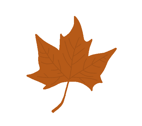 autumn leaves illustration Sticker