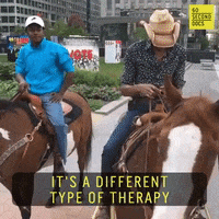 Mental Health Horse GIF by 60 Second Docs