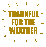 Weather Sticker by Goodman