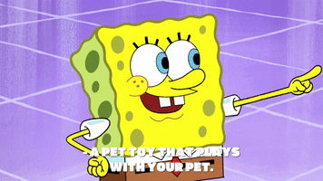 season 9 gary's new toy GIF by SpongeBob SquarePants