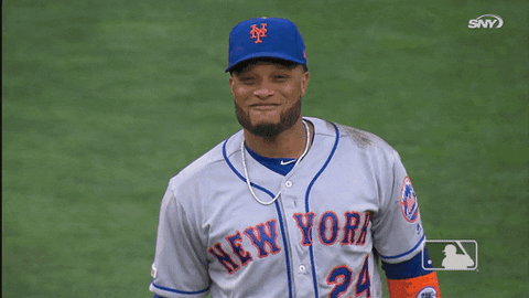 Ny Mets Smile GIF by New York Mets