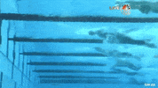 Michael Phelps Swimming GIF by Team USA