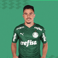 Happy Feliz GIF by SE Palmeiras