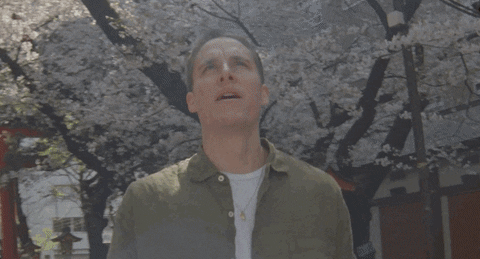 The Story So Far Pop Punk GIF by Pure Noise Records