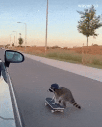 Mood Friday GIF by Darwin