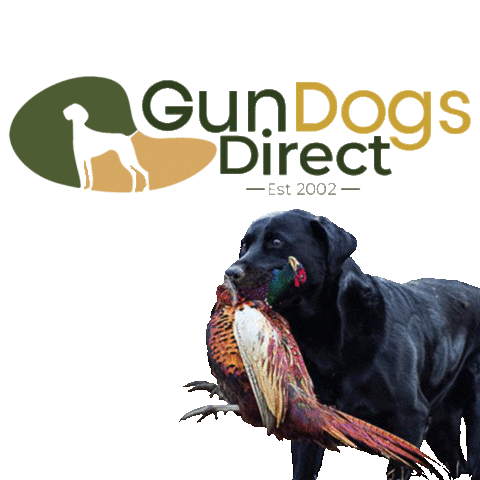 Dog Gundog Sticker by Gun Dogs Direct