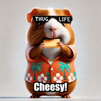 GIF by Guinea Gambino