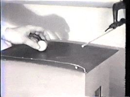 pigeon ping-pong pomba GIF