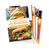 Disney World Ultimate Guide Sticker by DisneyFoodBlog