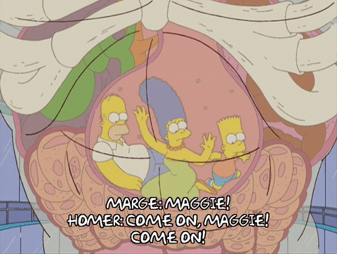 homer simpson episode 13 GIF