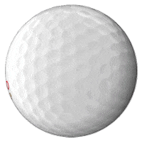 Pga Tour Golf Sticker by Wells Fargo Championship