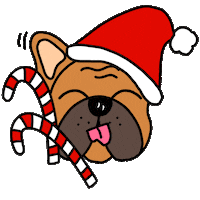 happy merry christmas Sticker by Ivo Adventures
