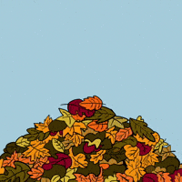 Autumn Leaves Fall GIF by Croakey