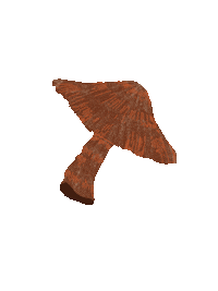 Mushroom Fall Vibes Sticker