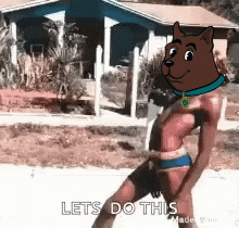 Happy Shiba Inu GIF by SCooBi Doge