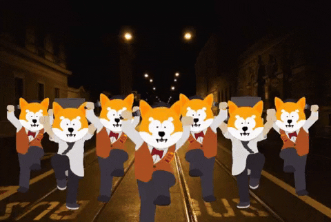Shiba GIF by SHIB MEMES