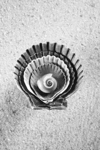 Strobe GIF by brittany bartley