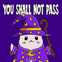 Friday Shall GIF by LilSappys