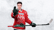 Hockey Del GIF by Augsburger Panther Eishockey GmbH