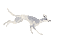 Dog Run Sticker by vres