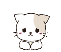 Sorry Cat Sticker