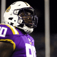 Locked In Dancing GIF by LSU Tigers