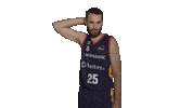 Liga Endesa Basketball Sticker by ACB