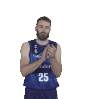 Liga Endesa Applause Sticker by ACB