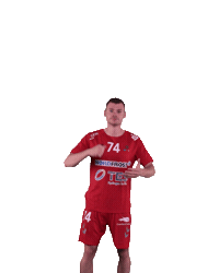 Wilhelmshaven Whv Sticker by whvhandball