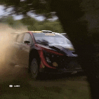Sport Driving GIF by FIA World Rally Championship