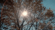 one light GIF by 3 Doors Down
