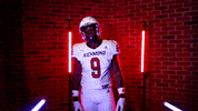 Sack Reynolds GIF by Richmond Spiders