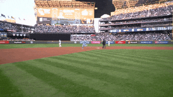 Home Run Homer GIF by Toronto Blue Jays