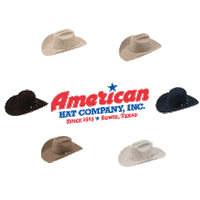 american horse Sticker by Katie