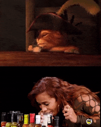 Cats Drinks GIF by 333 MUSIC LLC