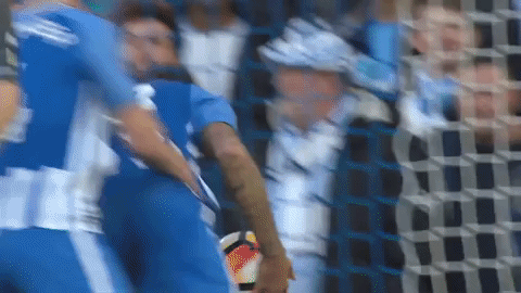 Soccer Futbol GIF by Brighton & Hove Albion Football Club