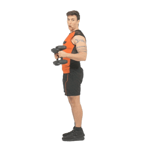 REALVT giphyupload biceps trainer davide Sticker