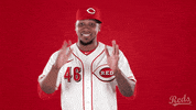 Pedro Strop Baseball GIF by Cincinnati Reds