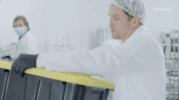 viceland GIF by WEEDIQUETTE
