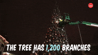 How Disneyland Gets Ready For The Holidays