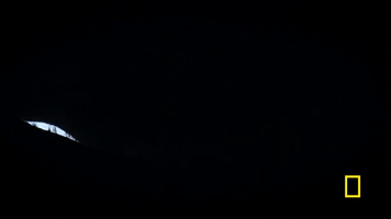 GIF by National Geographic Channel