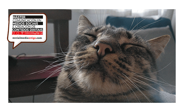 Socialmedia2021 Sticker by Social Media Uvigo