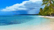 Beach Day Love GIF