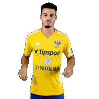 Football Soccer Sticker by Fortuna Liga