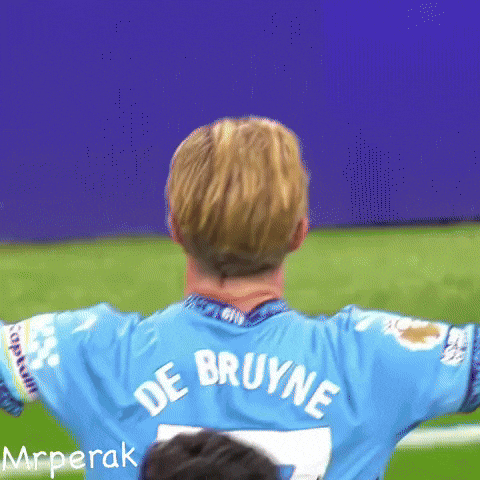 Premier League Fans GIF